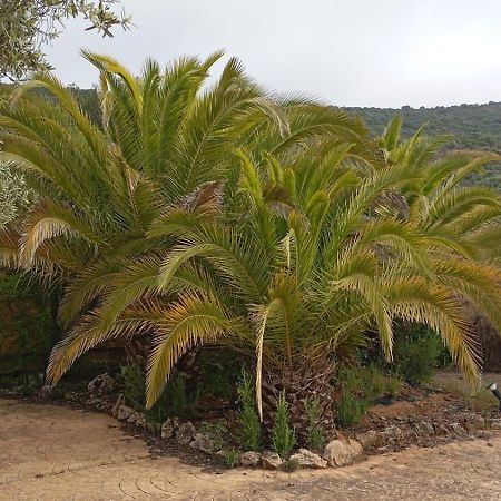 Casas Rurales Cortijo La Canada เอสเตปา ภายนอก รูปภาพ