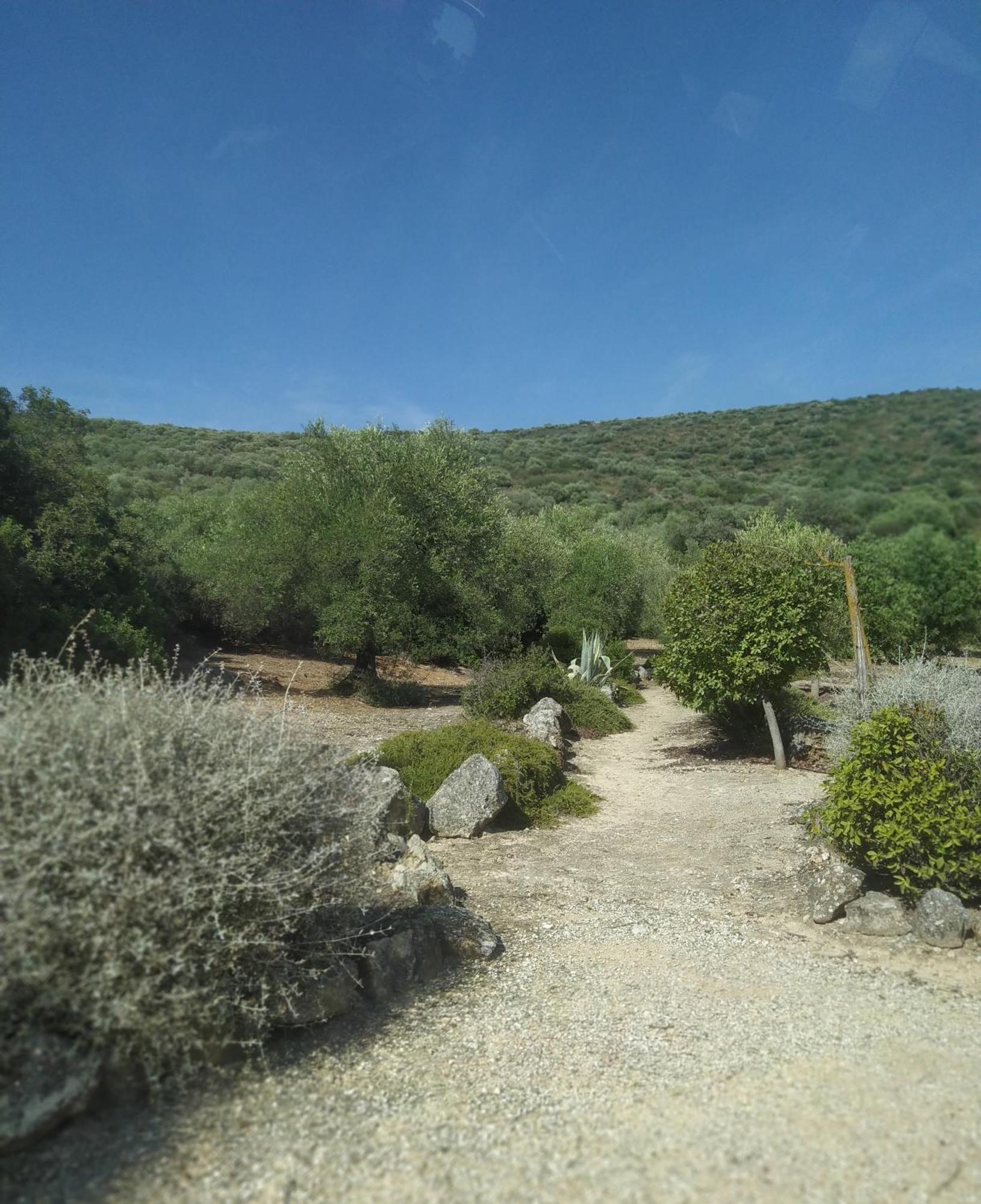 Casas Rurales Cortijo La Canada เอสเตปา ห้อง รูปภาพ