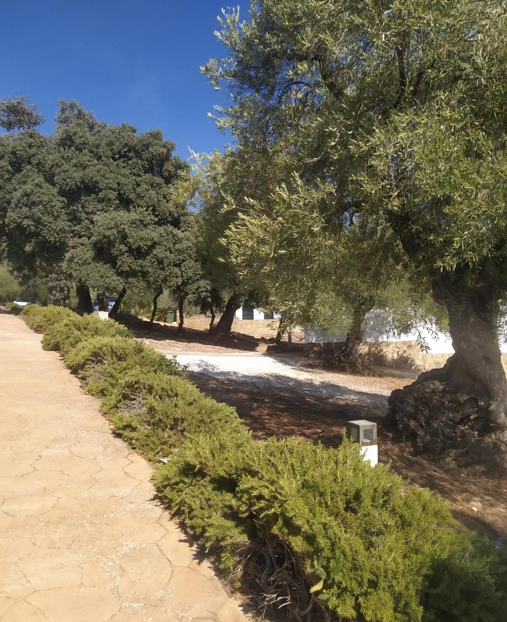 Casas Rurales Cortijo La Canada เอสเตปา ห้อง รูปภาพ
