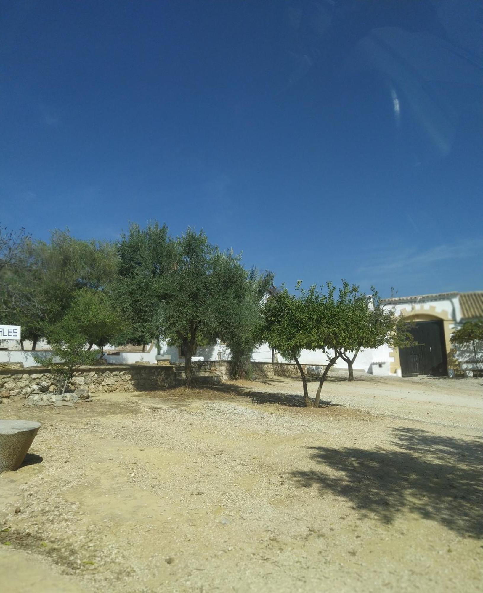 Casas Rurales Cortijo La Canada เอสเตปา ห้อง รูปภาพ