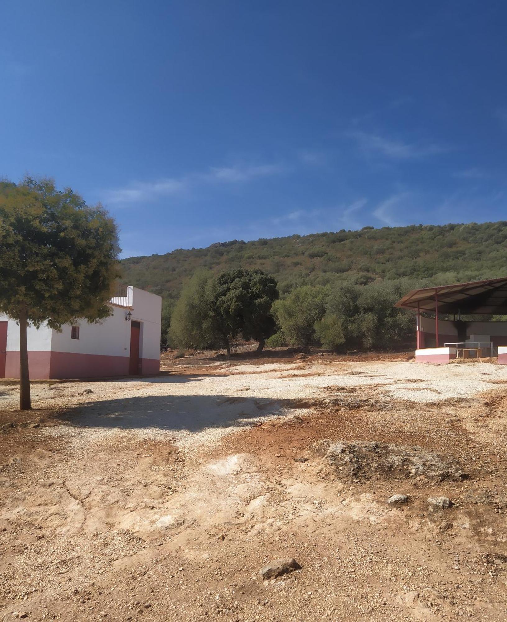 Casas Rurales Cortijo La Canada เอสเตปา ห้อง รูปภาพ