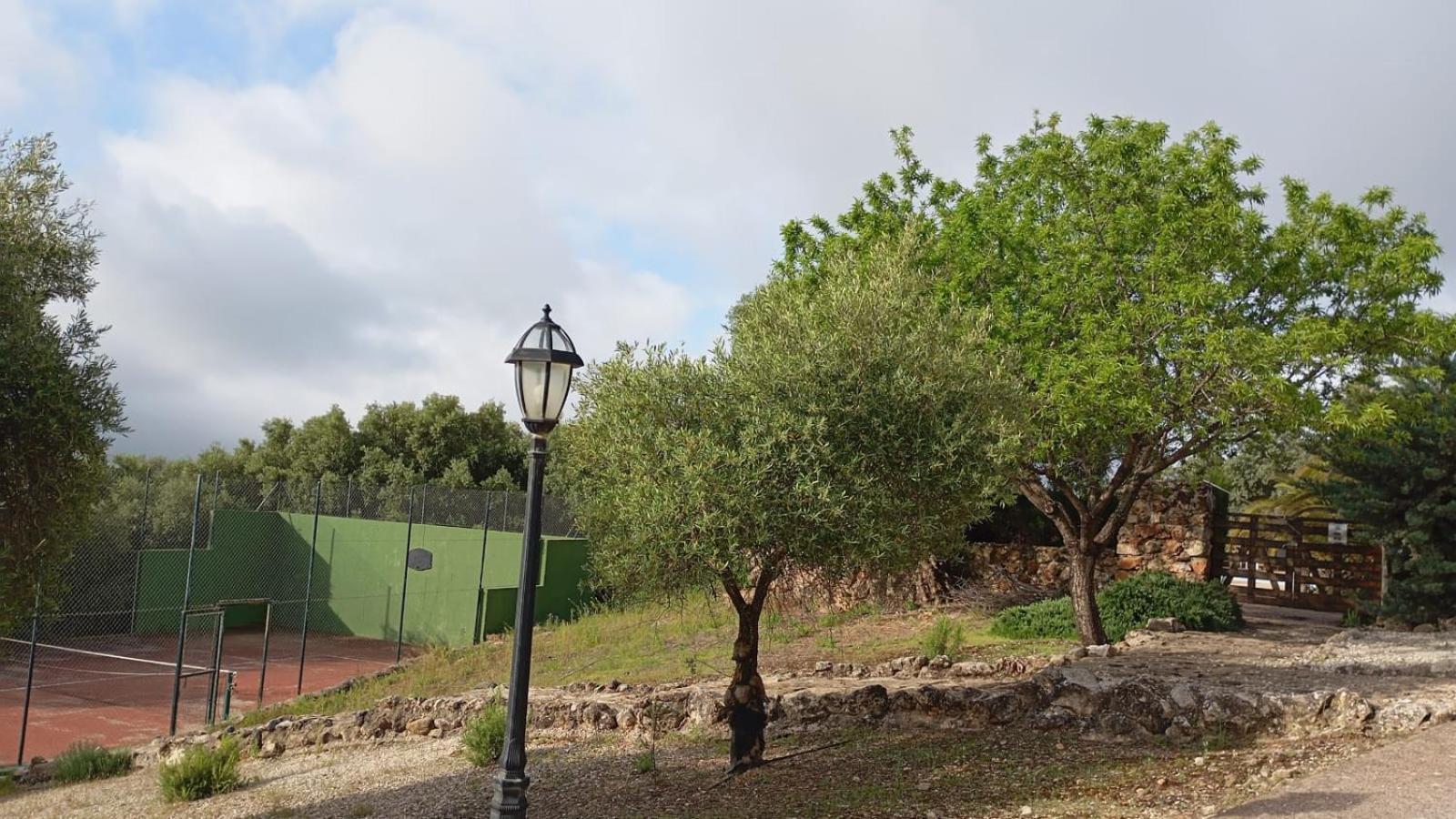 Casas Rurales Cortijo La Canada เอสเตปา ภายนอก รูปภาพ