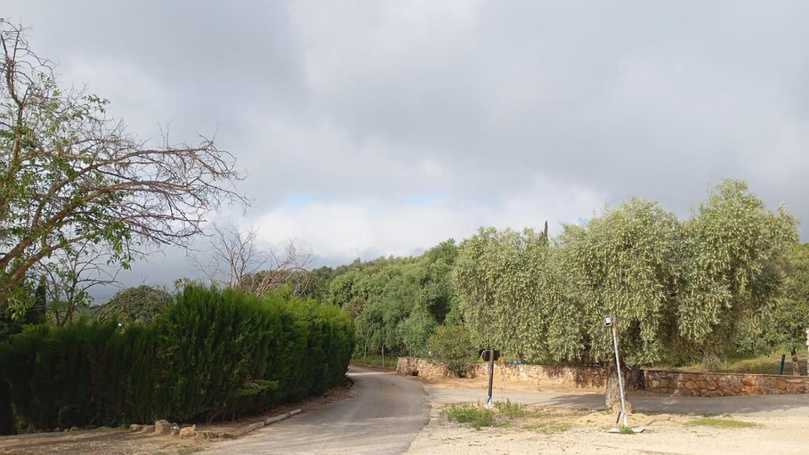 Casas Rurales Cortijo La Canada เอสเตปา ภายนอก รูปภาพ