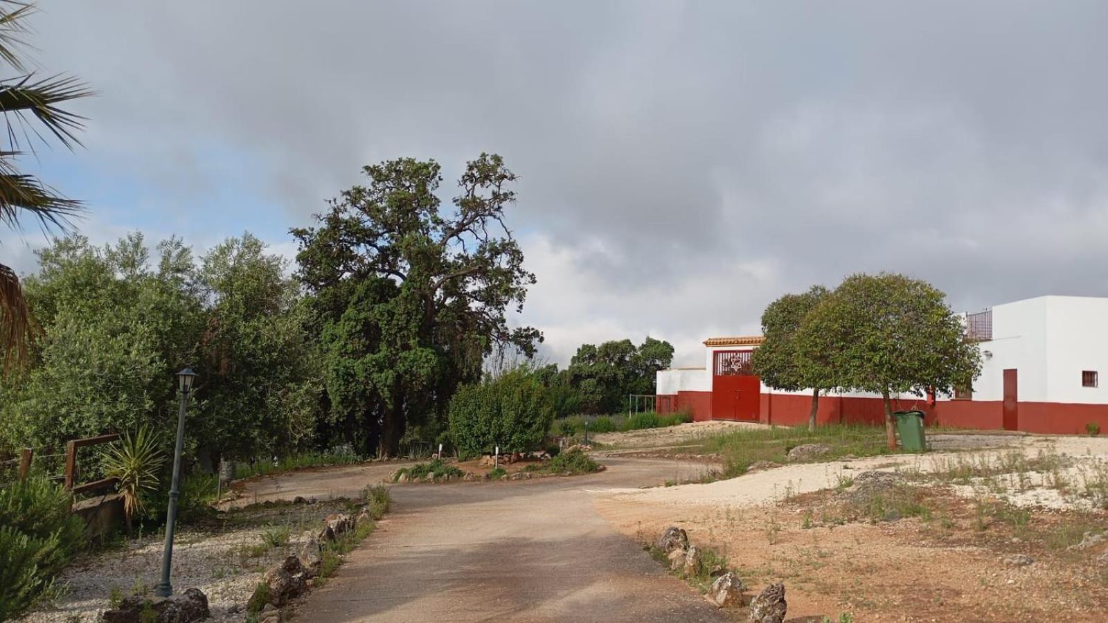 Casas Rurales Cortijo La Canada เอสเตปา ภายนอก รูปภาพ