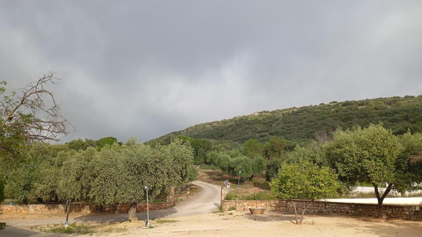 Casas Rurales Cortijo La Canada เอสเตปา ภายนอก รูปภาพ