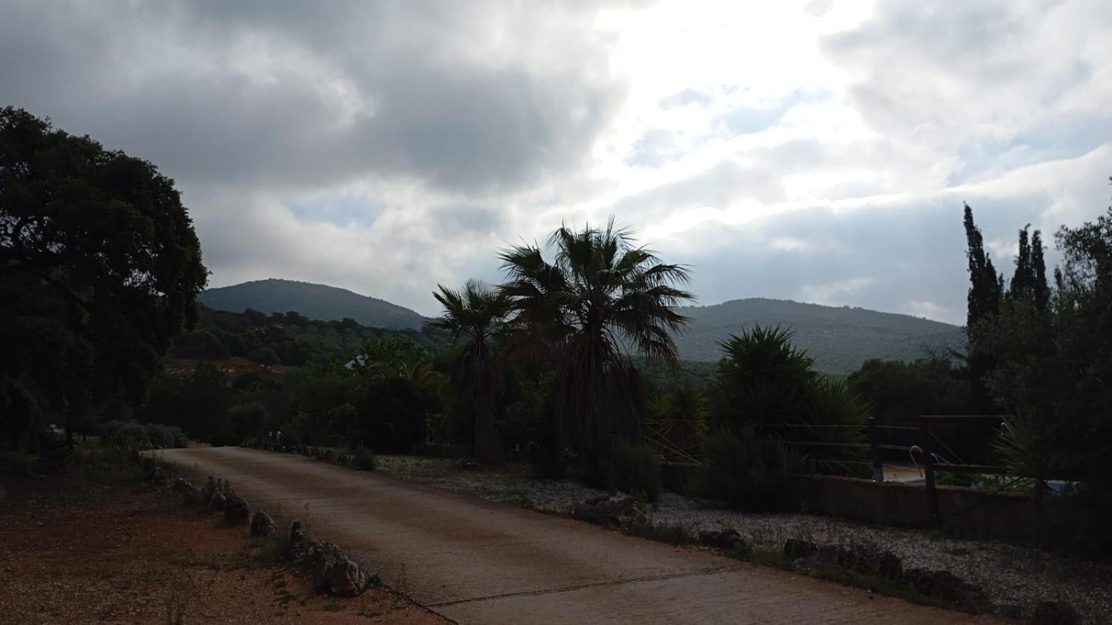 Casas Rurales Cortijo La Canada เอสเตปา ภายนอก รูปภาพ
