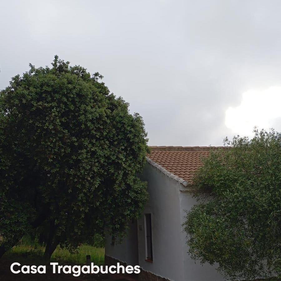 Casas Rurales Cortijo La Canada เอสเตปา ภายนอก รูปภาพ