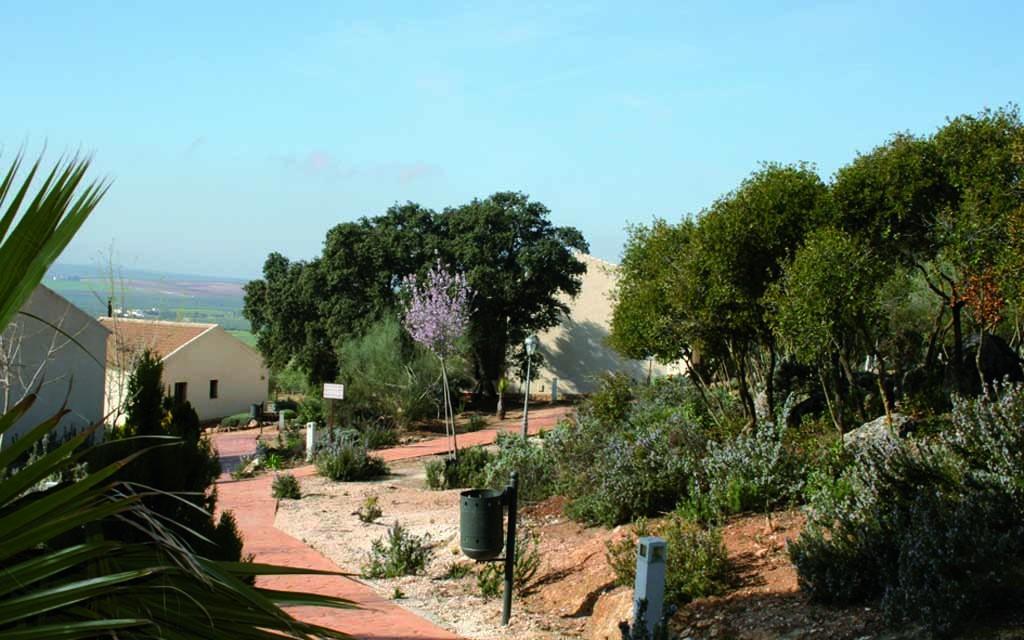 Casas Rurales Cortijo La Canada เอสเตปา ภายนอก รูปภาพ