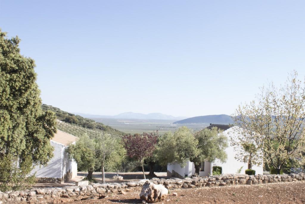 Casas Rurales Cortijo La Canada เอสเตปา ภายนอก รูปภาพ